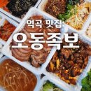 오동족보 이미지