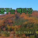 꿈꾸는 백마강/하모니카 연주 이미지