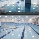 YS 스윔키즈 이미지