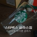500 | 스타벅스 시그니처 사이렌 글라스 500ml 후기
