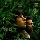 [영화] 수인이 되는 세상 애니멀 킹덤 후기 쿠키