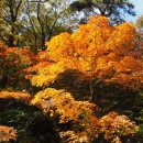 속리산(청주)휴게소 이미지