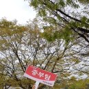 가조면-39 이미지