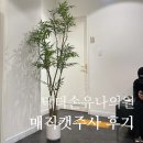 법의의원 | 닥터손유나의원 얼굴살빼는법 2회차(리얼 후기)