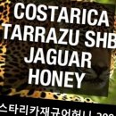 갓커피