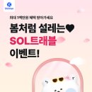 결 이미지