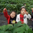 병설농장 이미지