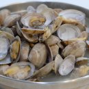 구산면586 이미지