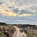 동백에어 B&B | 야외 자쿠지 있는 제주도 에어비앤비 판포길담 내돈내산 후기