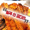 일곡신코다리