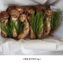 [판매완료] 9월 12일 자연산 송이버섯 판매합니다^^ 이미지