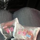 벽천미술관 | 2025-09일상(2)