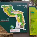 골드너스