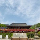 (주)가가렌트카 남원영업소 | [남원-구례-하동-그리고 다시 남원] 날씨까지 갓벽했던 세친구의 2박3일 여행기 1탄