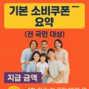 전국민 대상 2025 민생소비쿠폰 혜택 Top 10 한눈에 보기 이미지