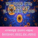 현대편안내과의원 이미지