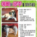 모란시장 이미지