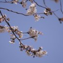 삼산1길 이미지