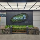 (주)엔젤렌트카 | 완전자차, 단독사고 보장 렌트카 추천! 광고 아니고 걍 내가 좋아서 쓰는 제주엔젤렌트카 후기입니다.