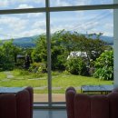 멍블라썸 이미지