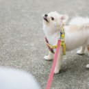 배신하지 않고 항상 내 곁을 지켜주는 존재가 있다면?... 이미지