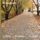 그레이트 복싱짐 이미지