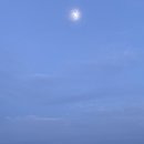 아드리아 | 여수 가족펜션 추천! 풀빌라아드리아 내돈내산 솔직 후기 (예약 주의사항 포함)