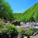 하나의선택 이미지