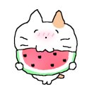 씨오(Sea:O)