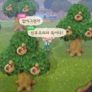 채은병 이미지