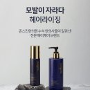 앰플, 선스틱, 로션, 탈모샴푸세트 이미지