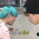 라이징 썬 이미지