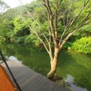 강촌연수원 이미지