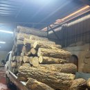 보배산참숯가마찜질방 이미지