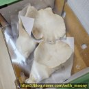 이마트트레이더스 | 🧺내돈내산 이마트 트레이더스 먹거리 솔직 후기｜설원버섯 맛있어서 재구매각?