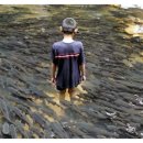 물반고기반 이미지