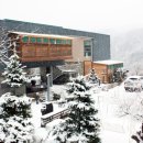 베어스타운리조트 이미지