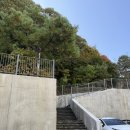 백옥대로1081번길 이미지