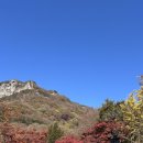 고창부안축협 한우명품관 | 짚' 땅짚 바람짚 (백양사, 파란 곳간 쌀가게, 지정환 피자, 고창부안축협 한우명품관 부안, 창북치킨)