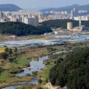 호수공원3로 이미지