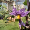 용화 농장 이미지