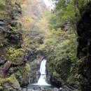 명천마을 이미지