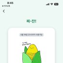 옛날가마솥순대 이미지