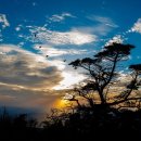 금수강산 이미지