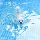 땡큐펜션 이미지