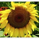 위봉산성마을 이미지