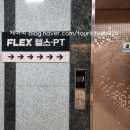 플렉스짐 야당점 | 파주 야당 기구 많은 헬스장 [플렉스짐 야당점] 내돈내산 1일권 후기 / 주차