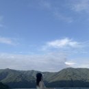 스테이수목