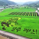 괴산꿀벌영농조합법인 동아일보