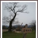 새한농원 이미지